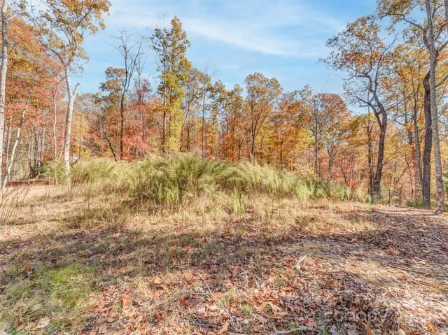 a view of a yard with a tree