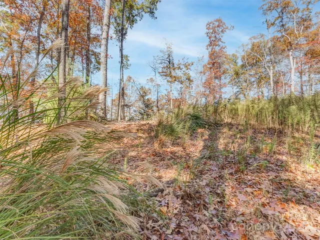 a view of outdoor space with trees