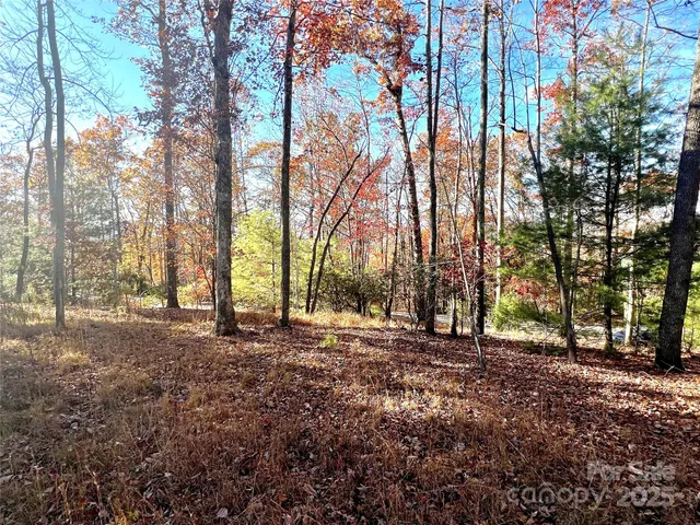 a view of empty space with trees