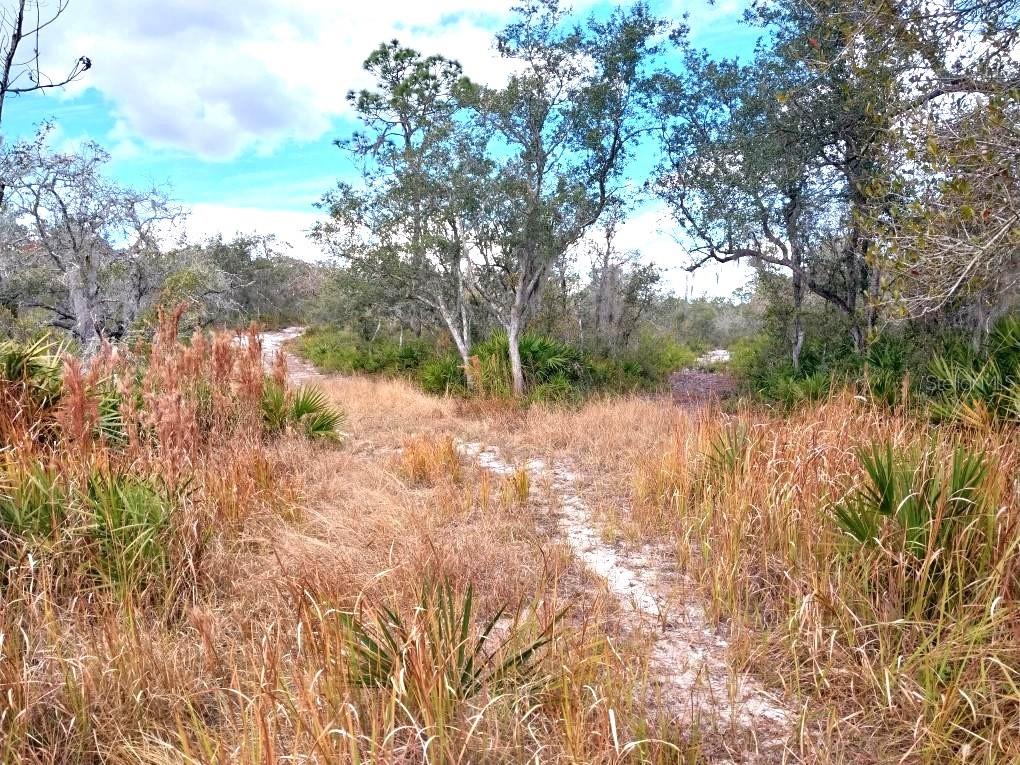 701 Gopher Trail Frostproof, FL 33843 - Photo 2 of 2