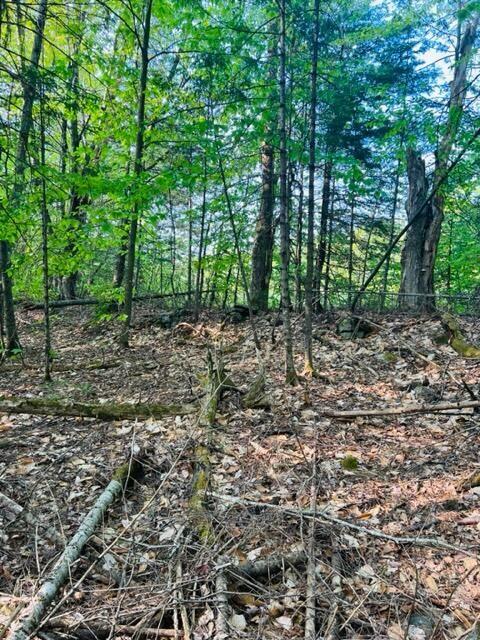 Lot#41-5 Guilford Center Road Guilford, ME 04443 - Photo 4 of 6 20230525172040557931000000-o