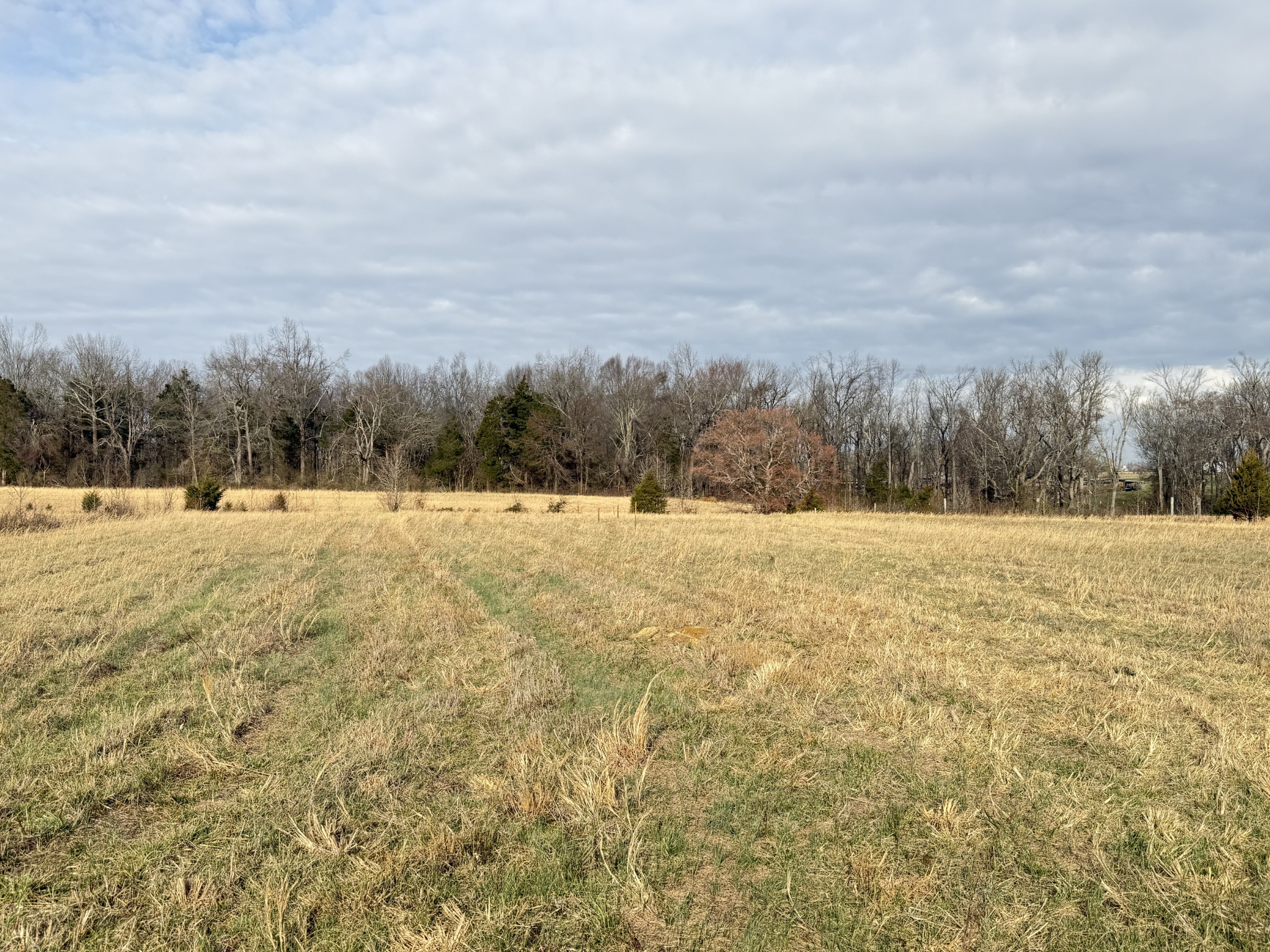 789 Mt Vernon Road Bethpage, TN 37022 - Photo 1 of 5 Gallery Image 1