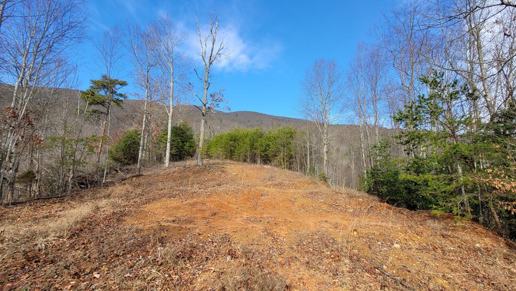 Tbd Mendota Road, Unit 5 & 6 Abingdon, VA 24210 - Photo 38 of 42 Gallery Image 38