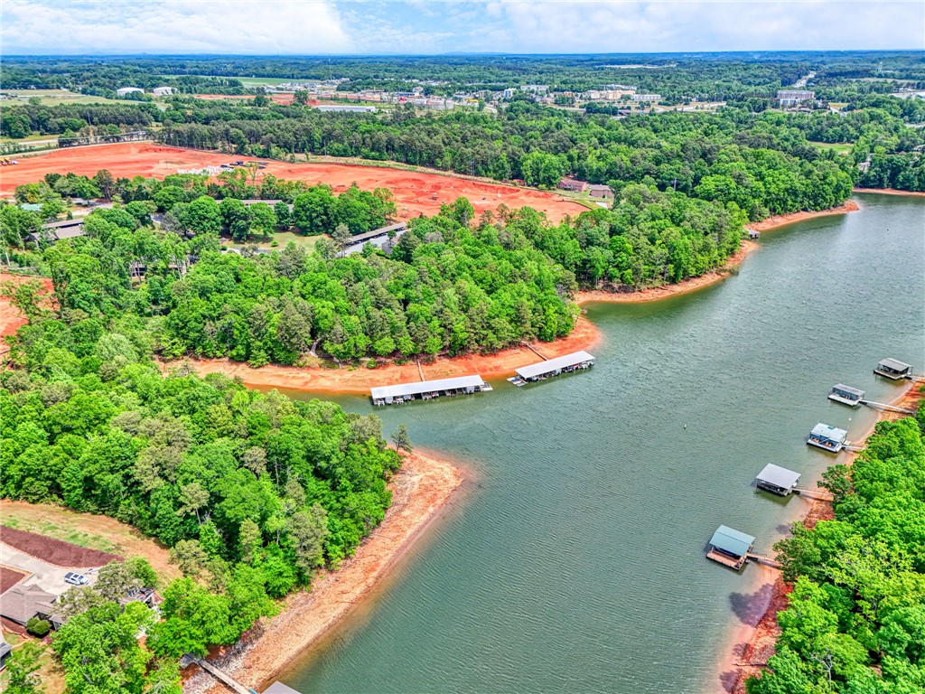 104 Captains Way Anderson, SC 29625 - Photo 29 of 47 This elevated view captures the extensive waterfront with private docks nestled among lush greenery.
