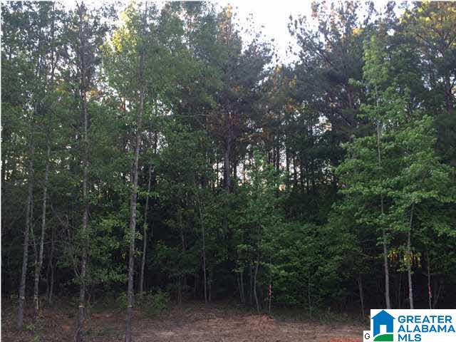 1237 Valley Street Pell City, AL 35128 - Photo 3 of 4