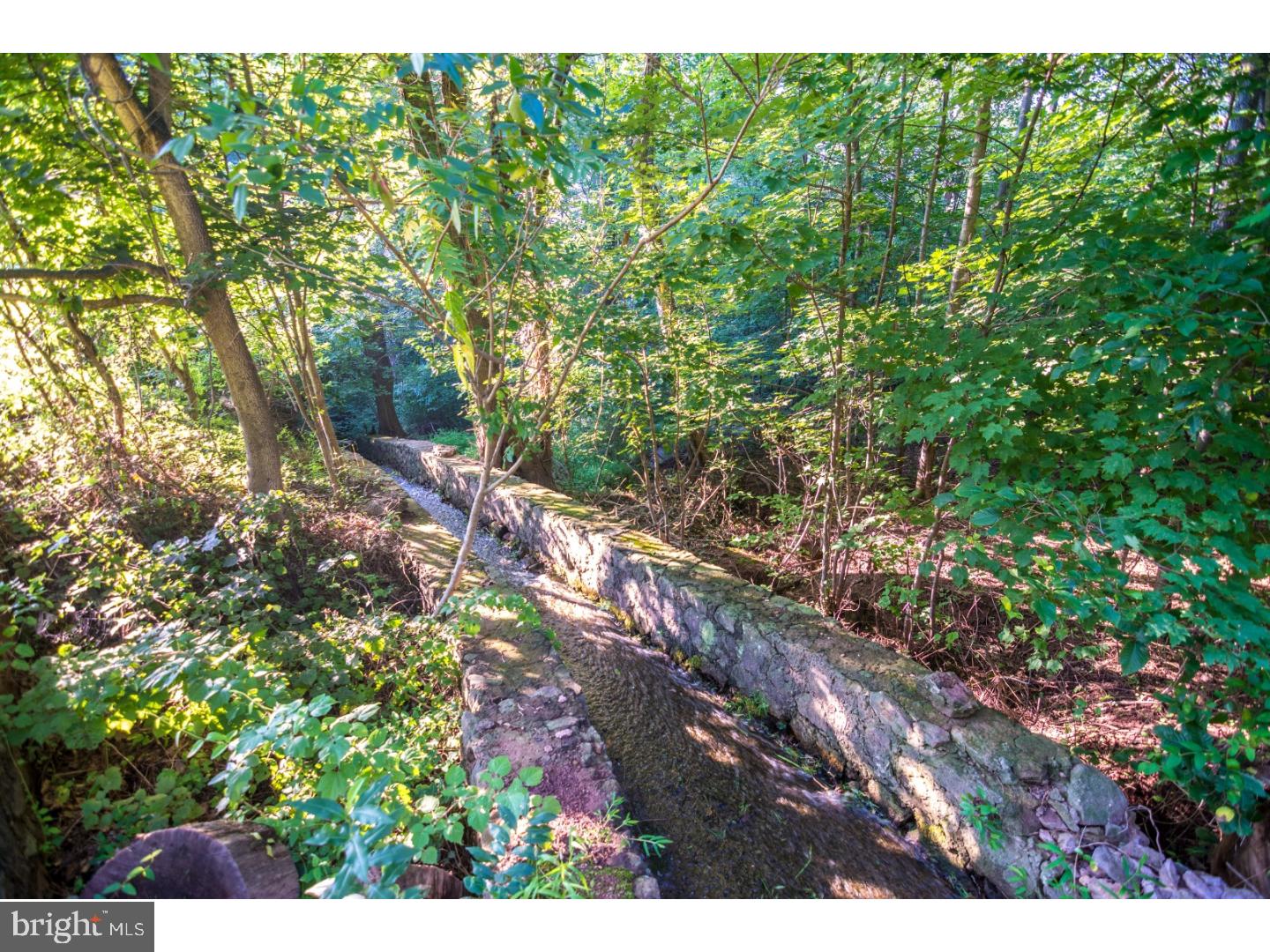 1650 Coldsprings Road Pottstown, PA 19465 - Photo 6 of 25 Gallery Image 6
