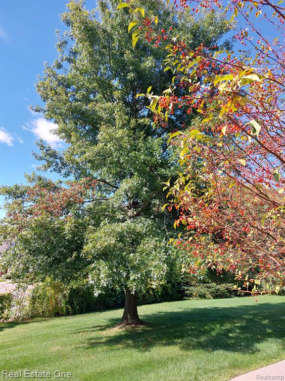 1845 Flagstone Circle Rochester, MI 48307 - Photo 24 of 29