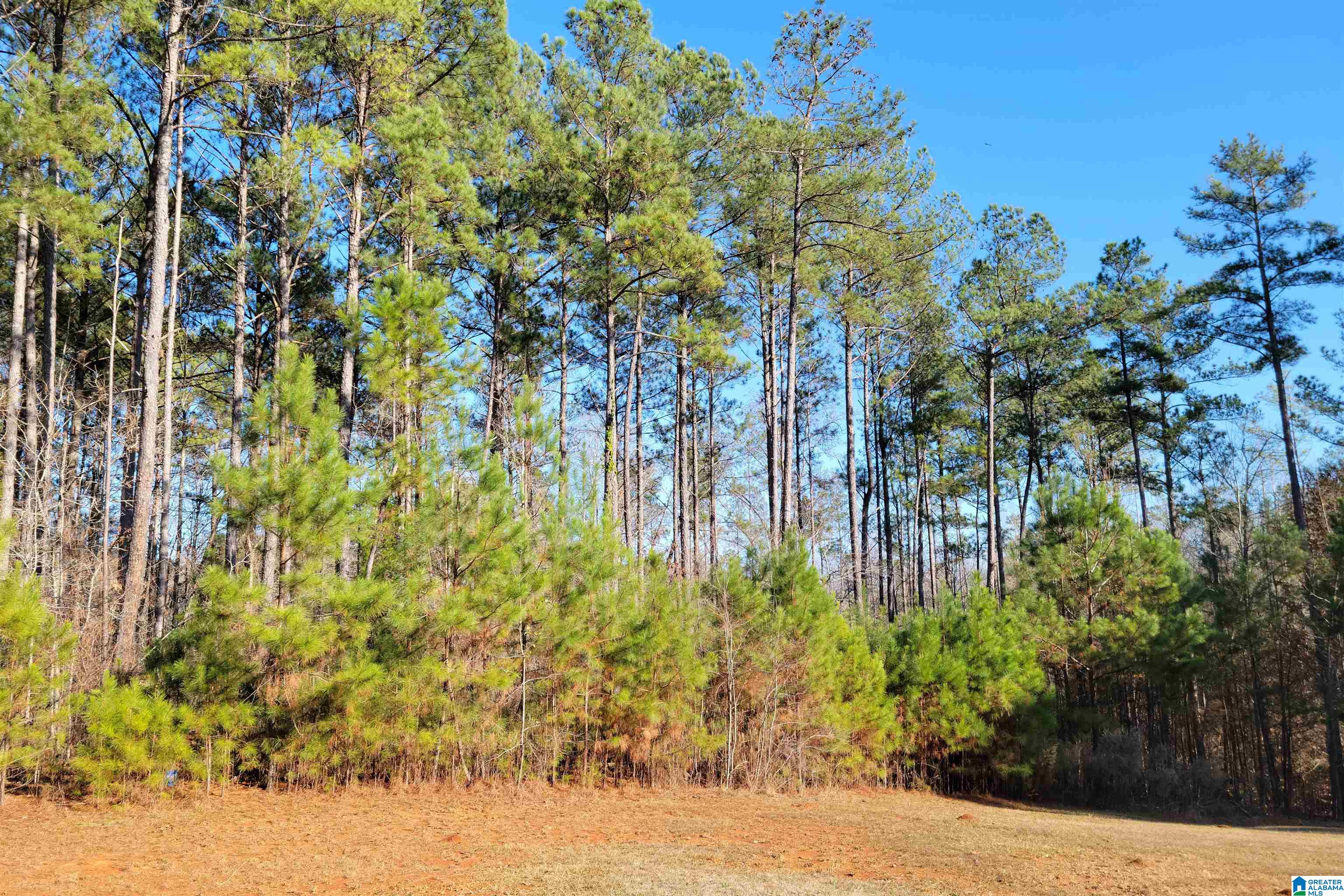 6 County Road, Unit 32 Wedowee, AL 36278 - Photo 3 of 6