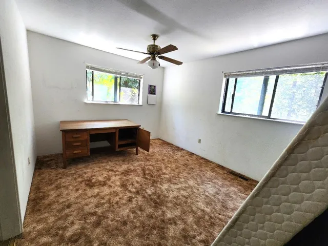 a view of a backyard