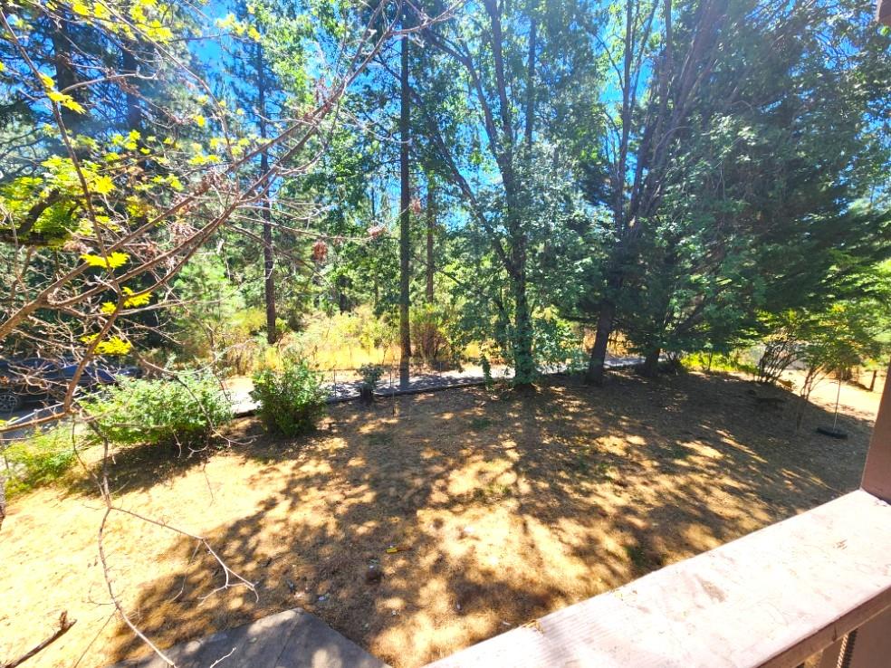 1925 Skull Flat Road West Point, CA 95255 - Photo 35 of 86 a view of tree