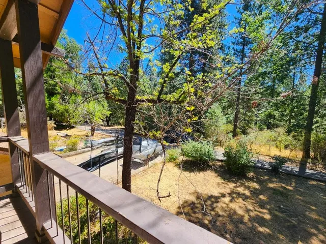 a view of a forest with a mountain in the background