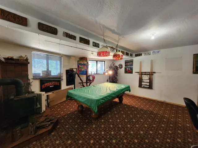 a view of a yard with plants and trees