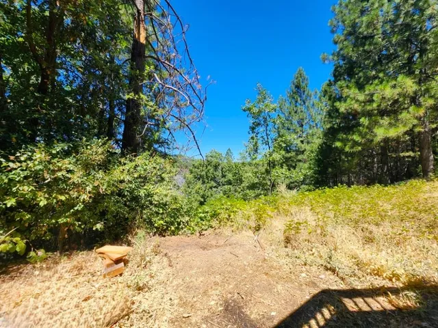 $520,000 | 1925 Skull Flat Road, West Point, CA 95255