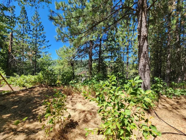 $520,000 | 1925 Skull Flat Road, West Point, CA 95255