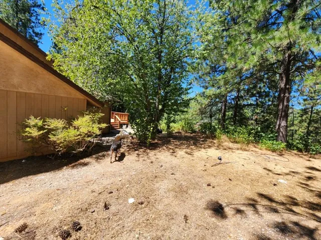 $520,000 | 1925 Skull Flat Road, West Point, CA 95255