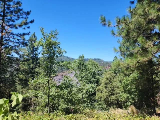 $520,000 | 1925 Skull Flat Road, West Point, CA 95255