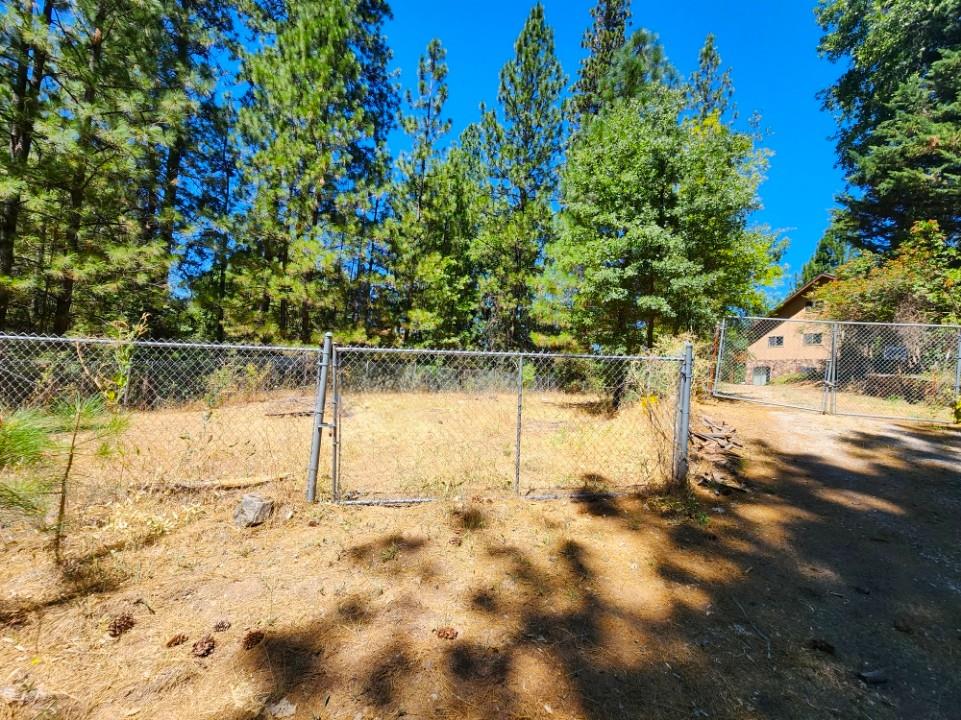 1925 Skull Flat Road West Point, CA 95255 - Photo 77 of 86