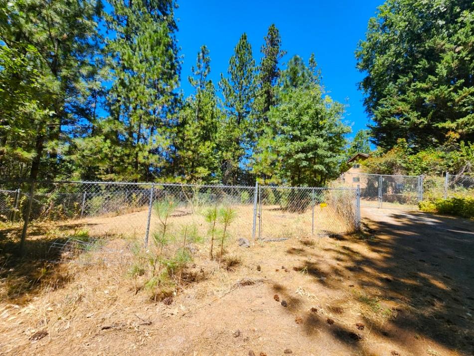 1925 Skull Flat Road West Point, CA 95255 - Photo 78 of 86
