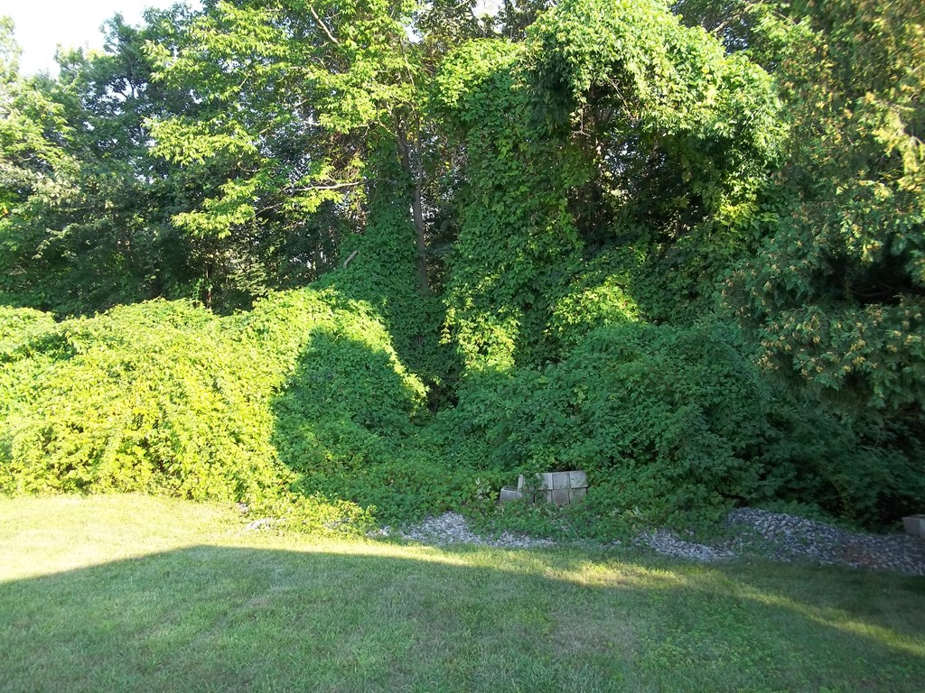 218 Bonham Road Dedham, MA 02026 - Photo 29 of 30 Gallery Image 29