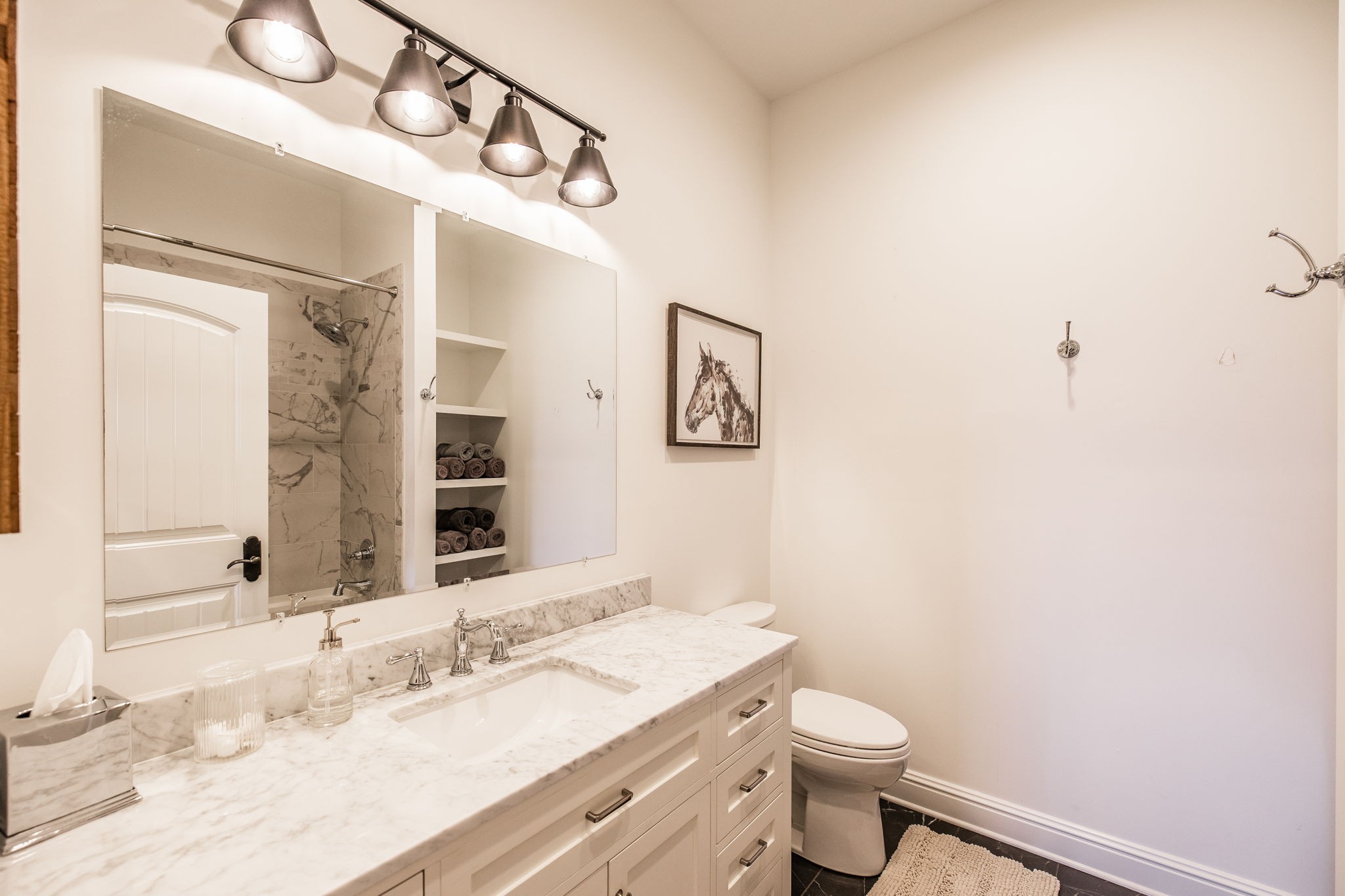 8137 Shoals Branch Road Primm Springs, TN 38476 - Photo 34 of 69 a bathroom with a sink a toilet and mirror