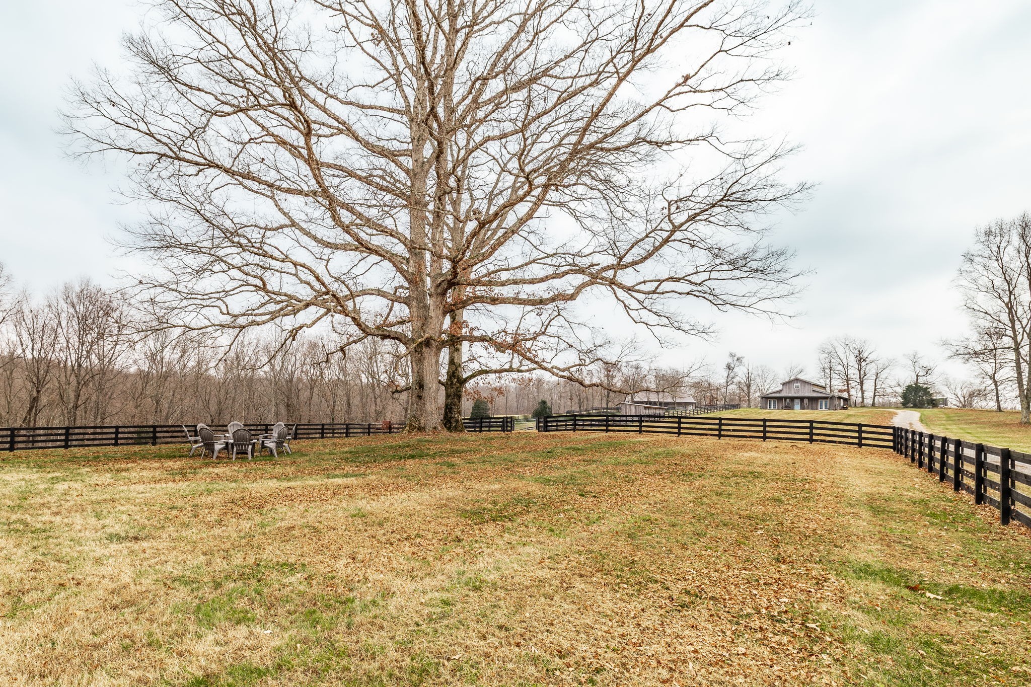 8137 Shoals Branch Road Primm Springs, TN 38476 - Photo 46 of 69 a view of swimming pool with outdoor seating and yard