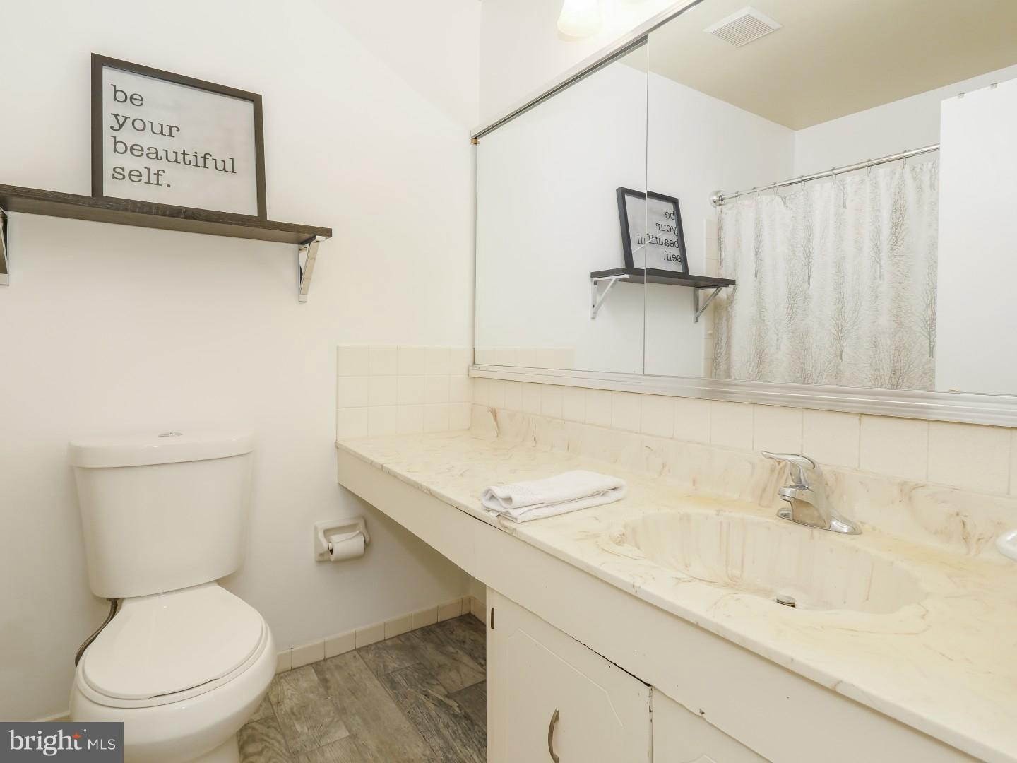 75 Loggers Mill Road Horsham, PA 19044 - Photo 13 of 17 Bathroom