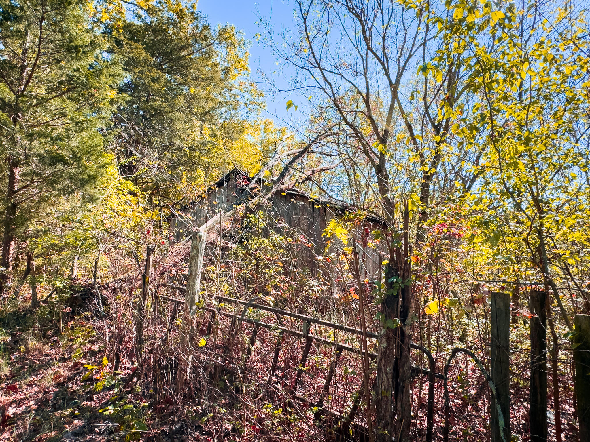 0 Lead Mine Road Owenton, KY 40359 - Photo 39 of 50 Gallery Image 39