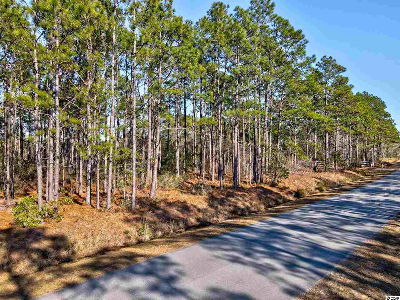 Old Oak Road Northwest Ash, NC 28420 - Photo 2 of 8 Gallery Image 2