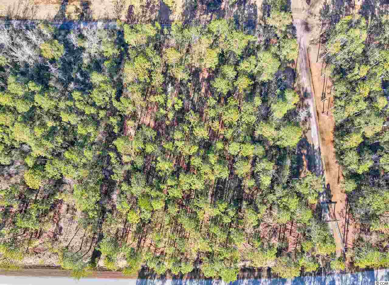 Old Oak Road Northwest Ash, NC 28420 - Photo 3 of 8 Gallery Image 3