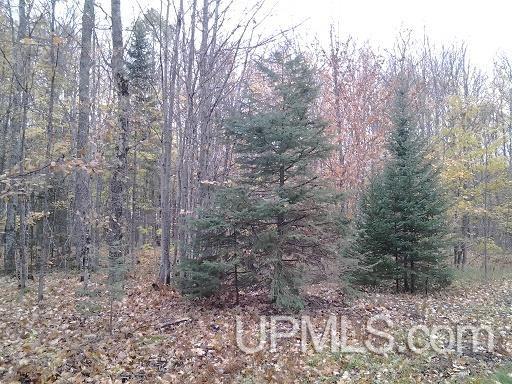 Tbd Whitefish Road Chatham, MI 49816 - Photo 27 of 30