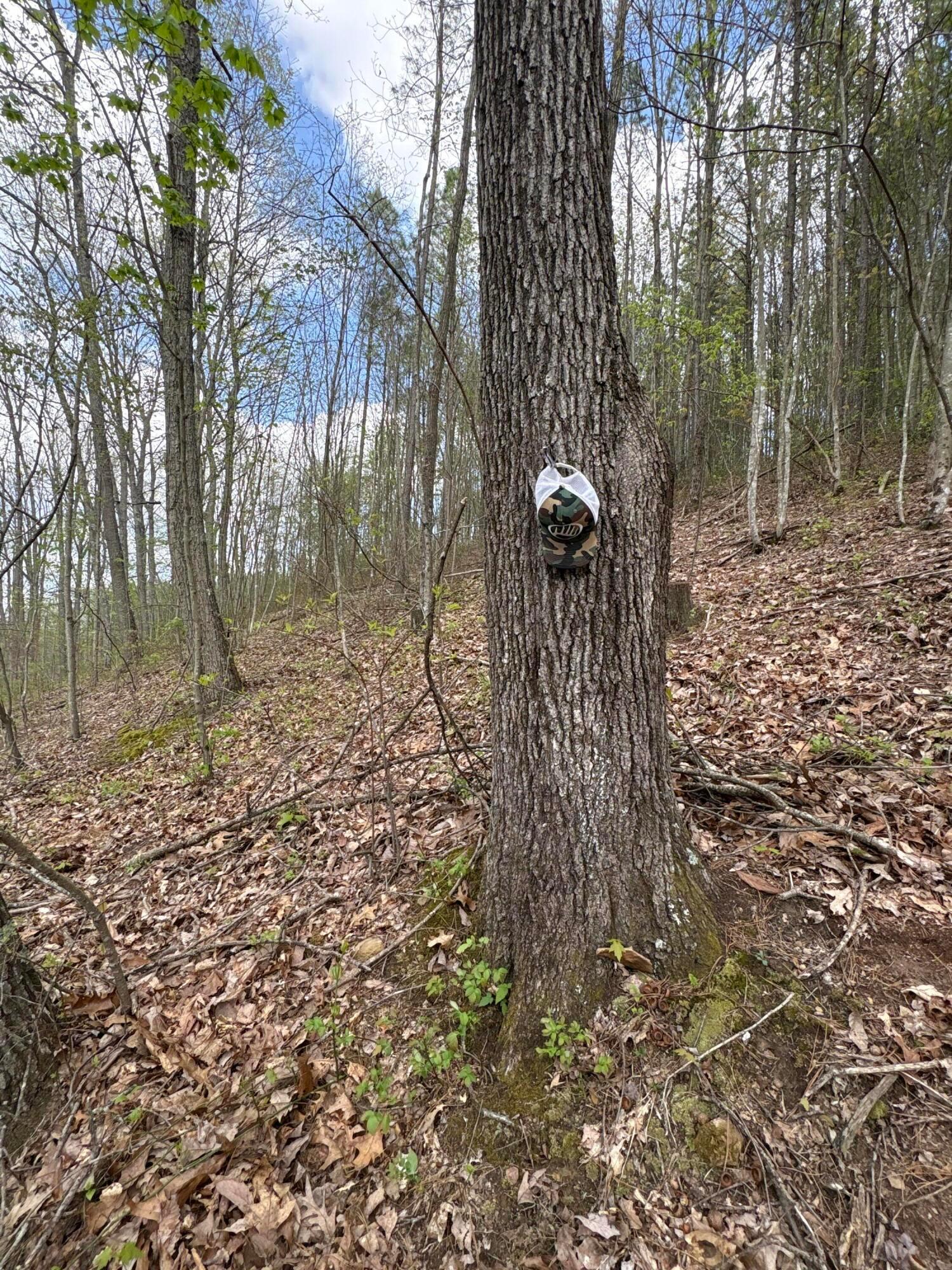0 Pyle Road Lucasville, OH 45648 - Photo 21 of 26 pic 23