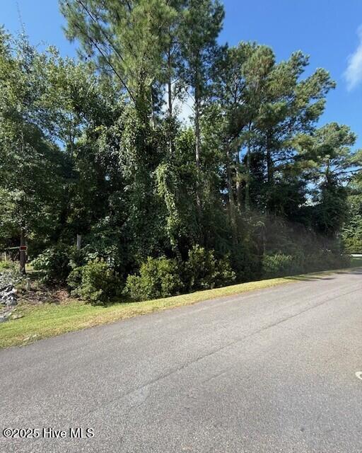 0 Cordgrass Road Hampstead, NC 28443 - Photo 3 of 12 .46 acre lot, Cordgrass #9