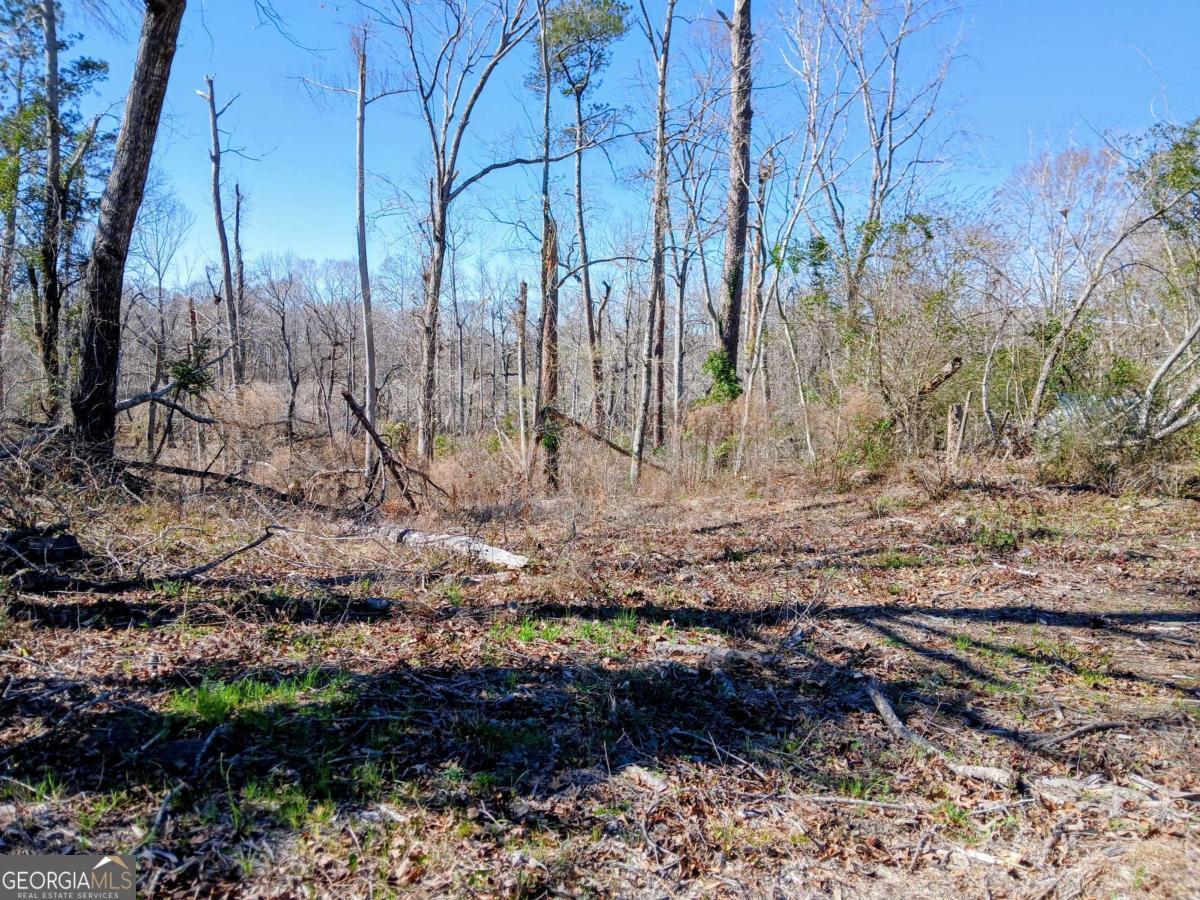 0 Dead River Road Uvalda, GA 30473 - Photo 1 of 1 Gallery Image 1