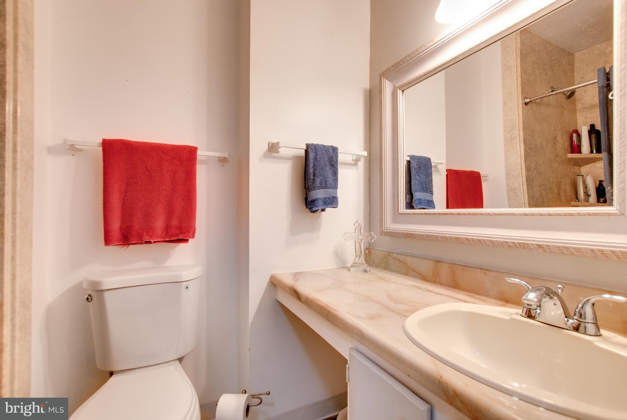 528 Lopax Road Harrisburg, PA 17112 - Photo 22 of 32 Master bathroom with new shower