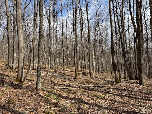 Harris Road Cincinnatus, NY 13040 - Photo 15 of 22 Gallery Image 15