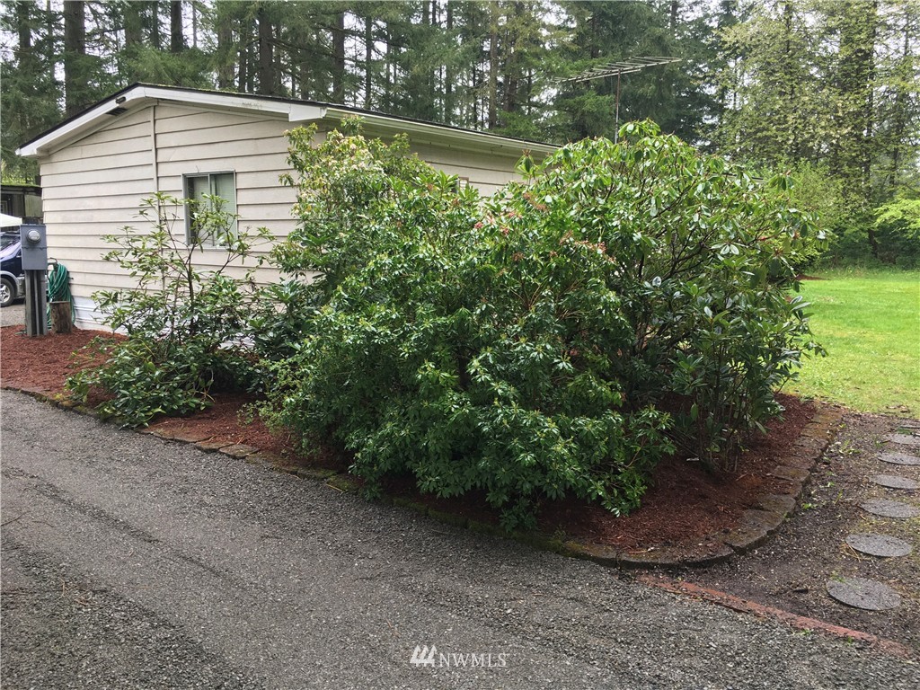 16725 Sargent Road Southwest Rochester, WA 98579 - Photo 5 of 18