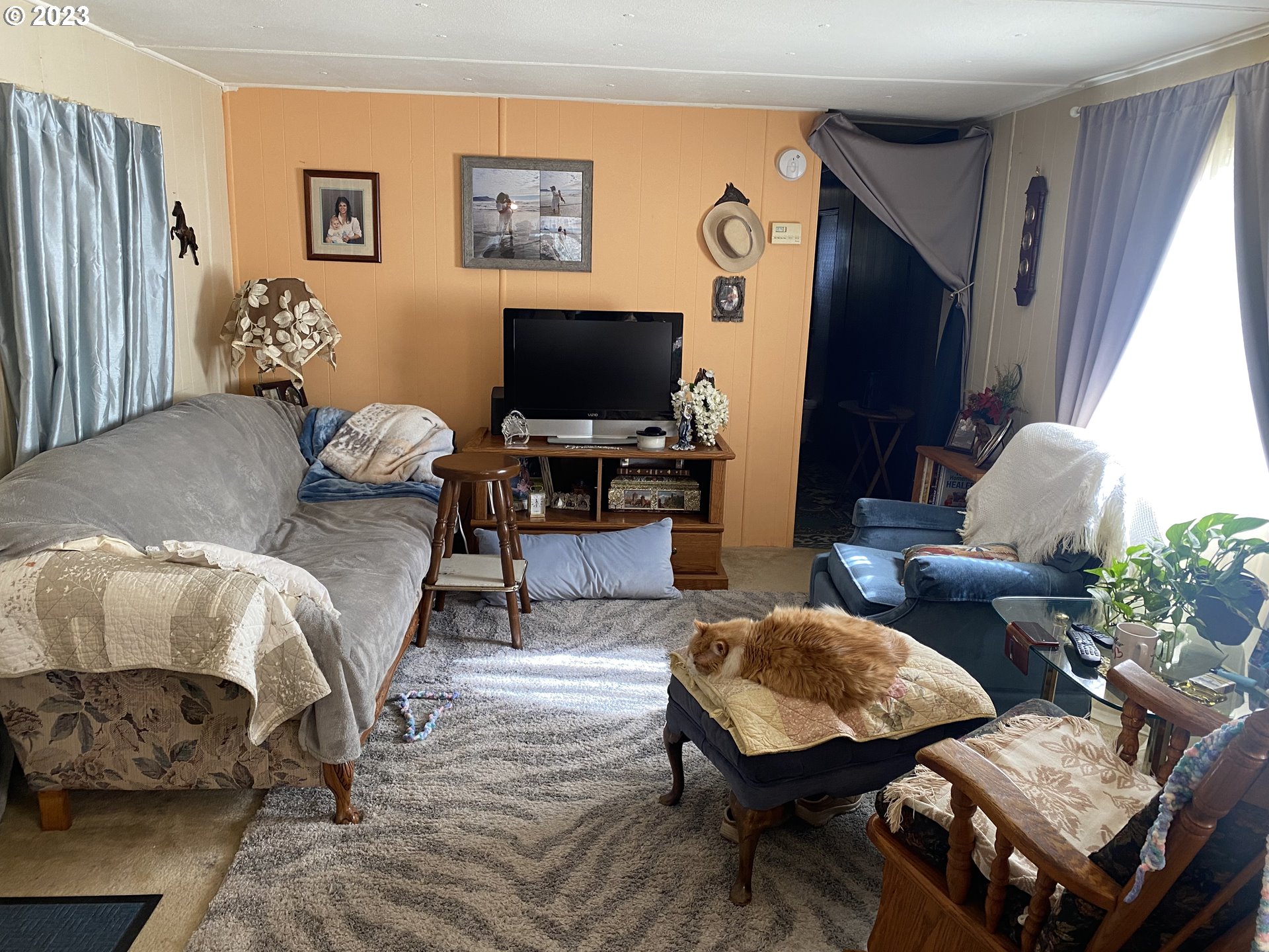 3900 Coburg Road, Unit 52 Eugene, OR 97408 - Photo 5 of 17 a living room with furniture and a flat screen tv