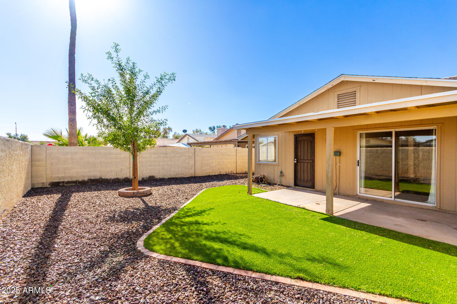 2133 North Apollo Court Chandler, AZ 85224 - Photo 21 of 23 a view of a backyard with a tub potted plants and a large tree