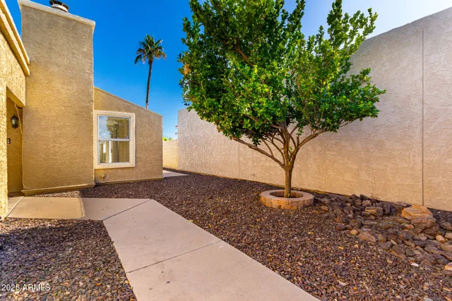 a plant sitting in front of a house