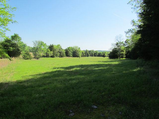 56 St Johns Road Lascassas, TN 37085 - Photo 1 of 20