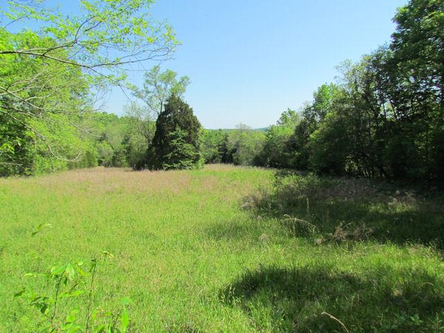 56 St Johns Road Lascassas, TN 37085 - Photo 13 of 20