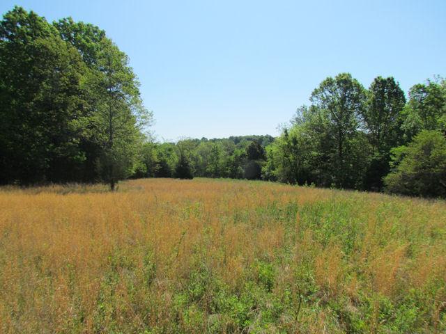 56 St Johns Road Lascassas, TN 37085 - Photo 14 of 20
