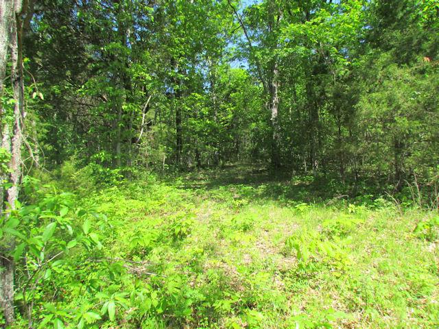 56 St Johns Road Lascassas, TN 37085 - Photo 15 of 20