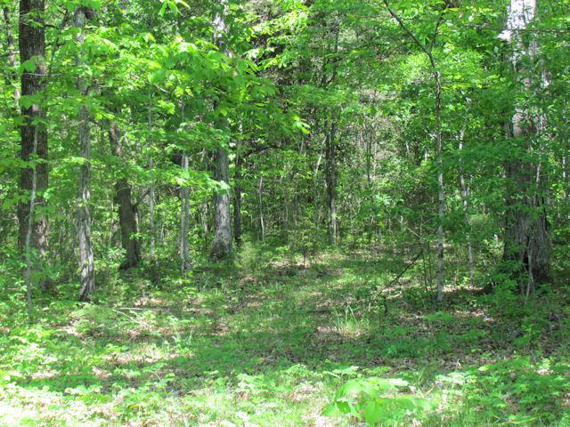 56 St Johns Road Lascassas, TN 37085 - Photo 16 of 20