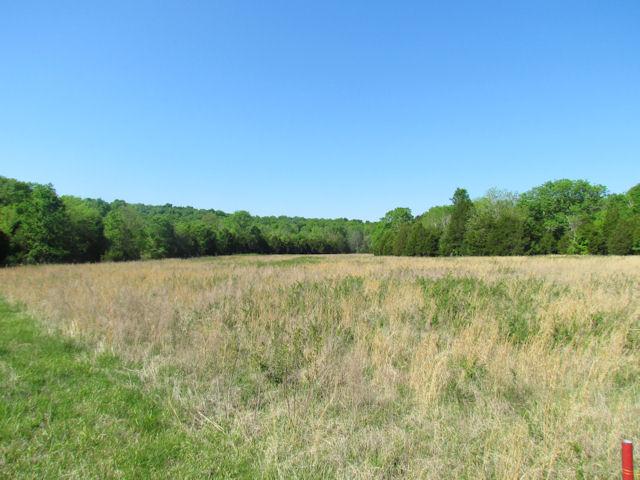 56 St Johns Road Lascassas, TN 37085 - Photo 2 of 20