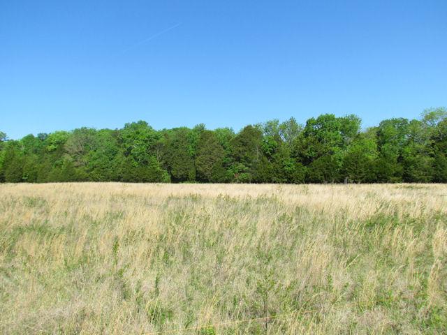 56 St Johns Road Lascassas, TN 37085 - Photo 3 of 20