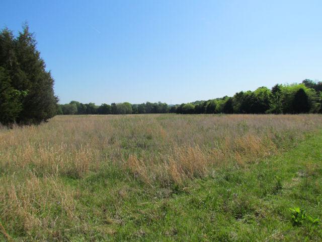 56 St Johns Road Lascassas, TN 37085 - Photo 4 of 20