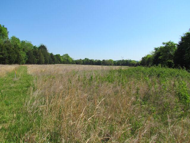 56 St Johns Road Lascassas, TN 37085 - Photo 9 of 20