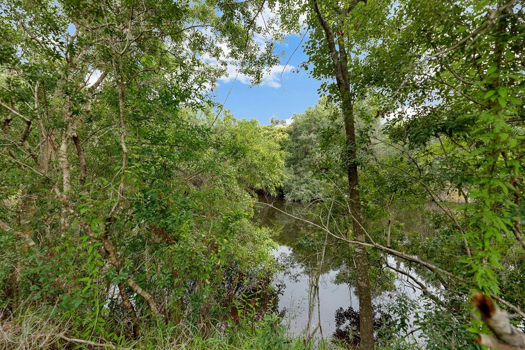 5711 Tanagerside Road Lithia, FL 33547 - Photo 54 of 72