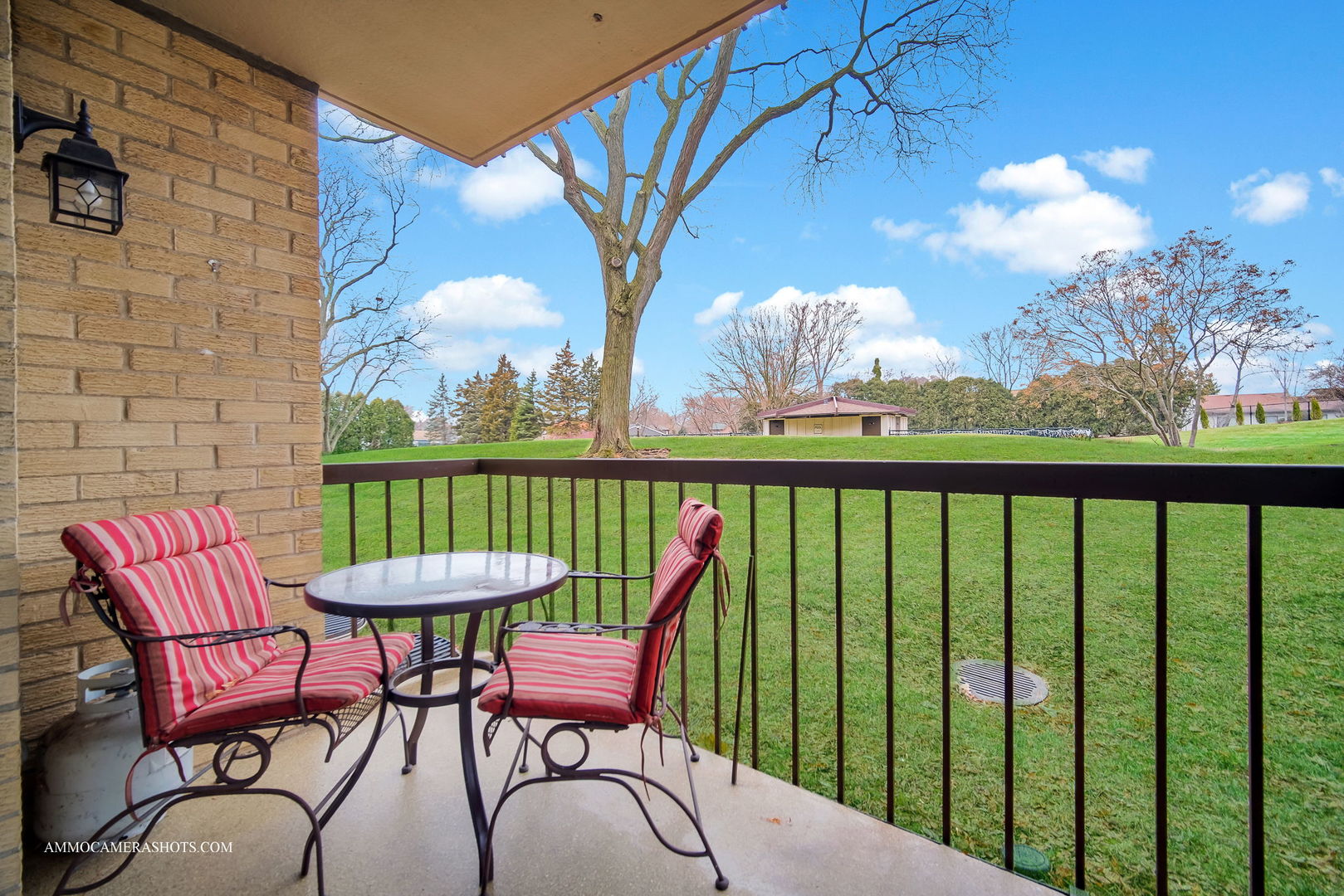 1105 North Mill Street, Unit 117 Naperville, IL 60563 - Photo 14 of 23 a view of a two chairs in the deck